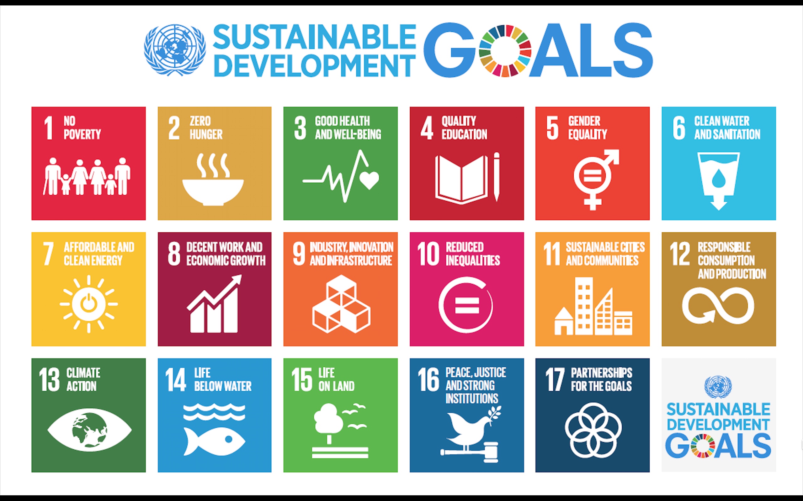 Entwicklungspolitik Sustainable Development Goals