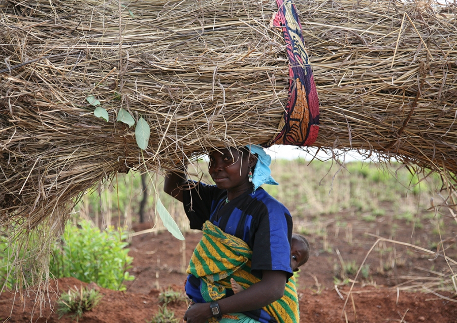 Female Empowerment and Income Opportunities